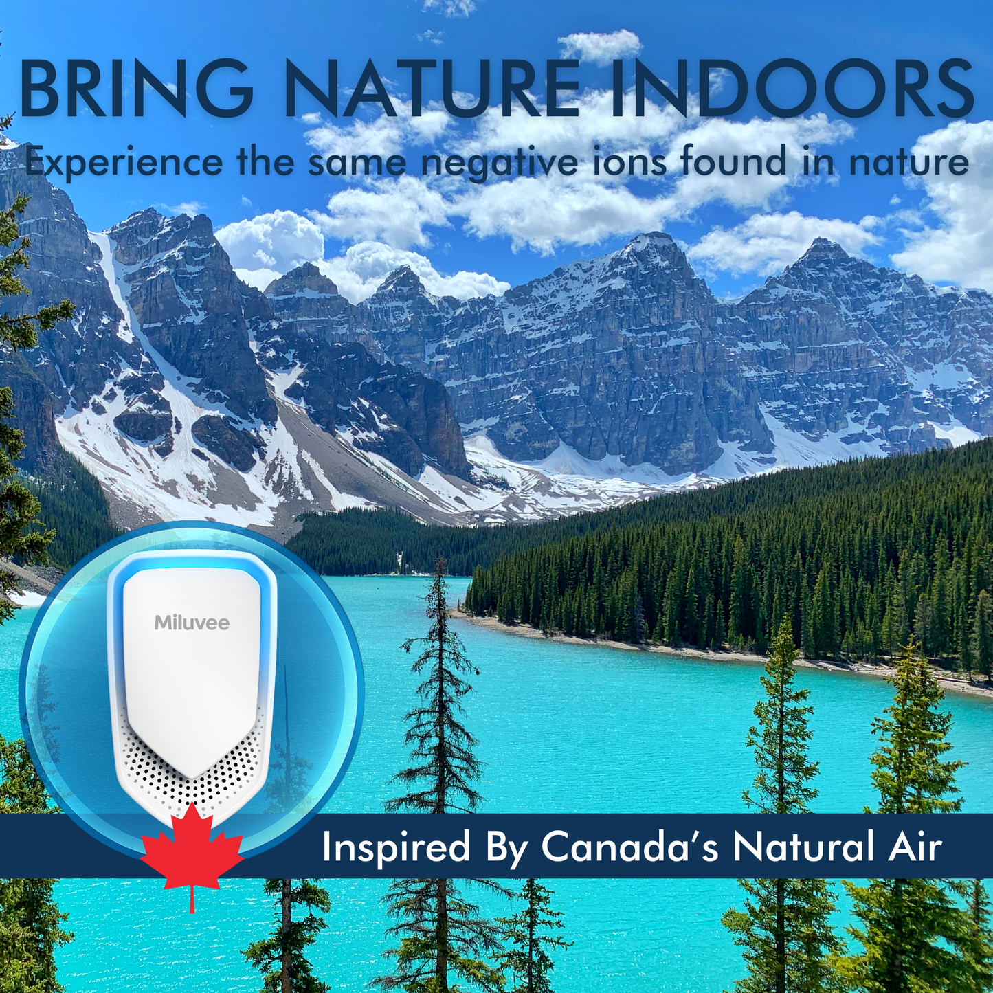 Premium Plug In Air Ionizer